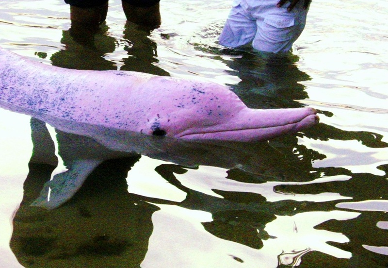 3111138326_a645826a40_o1